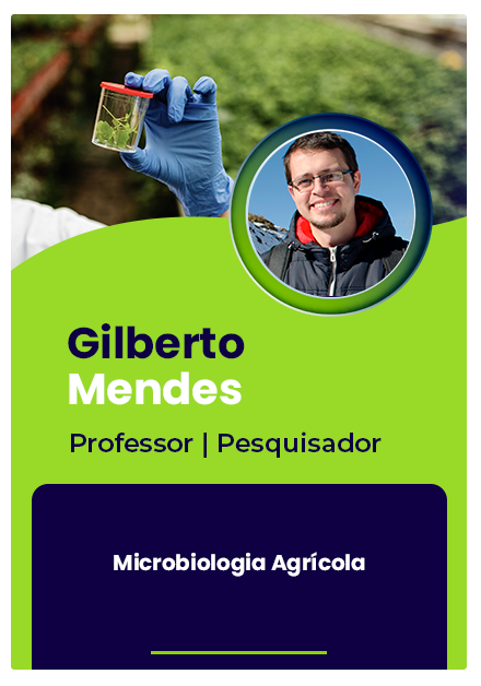 gilberto
